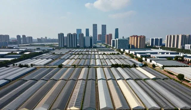 技术开发:企业运维平台的限制条件分析